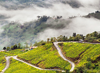 Discover Eastern Himalaya
