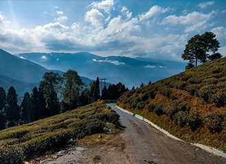 Mesmerising Himalayas